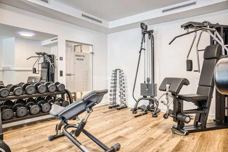 Gym with dumbbell rack, weight bench, cable pulley and strength station