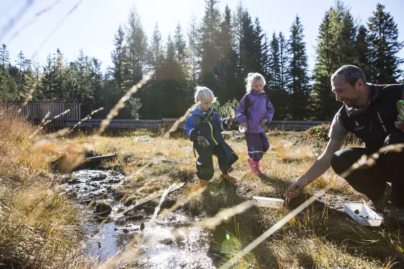 Nature park ranger showing two children moor mud at a stream in the Piller Moor