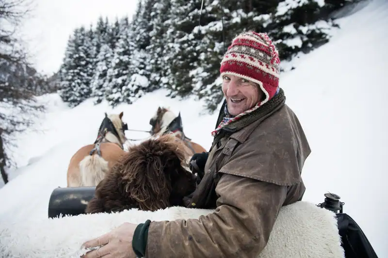 Coachman with dog on the horse-drawn sleigh in the snowy winter forest