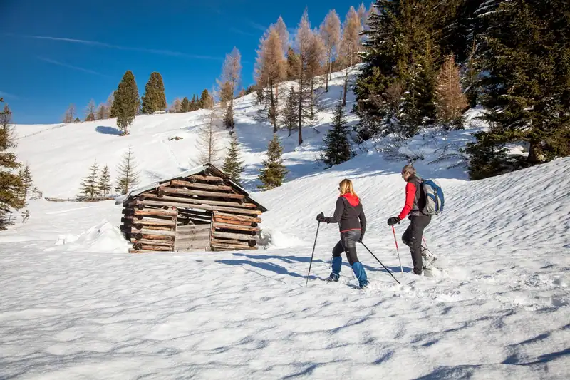 Two snowshoers in front of an old hay barn in deep snow beneath larch trees